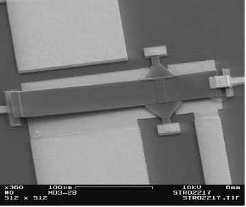 SEM photography