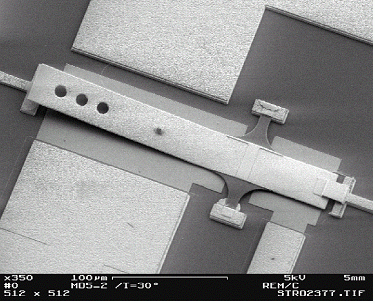 SEM photography